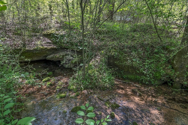 view of landscape