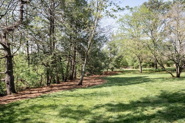 700 Lake Dr, Gallatin, TN 37066 - photo 72