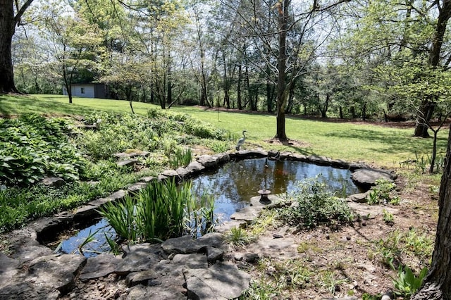 700 Lake Dr, Gallatin, TN 37066 - photo 76