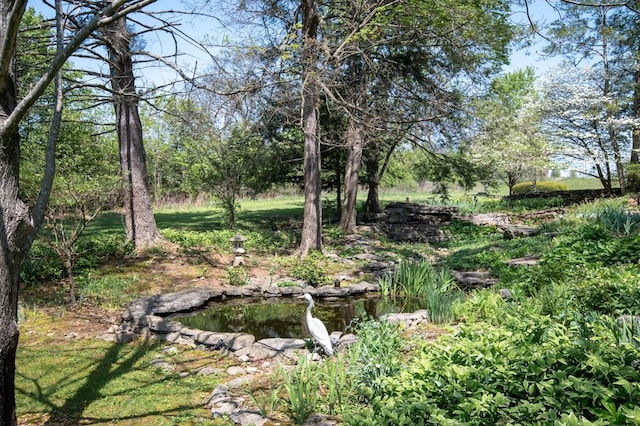 700 Lake Dr, Gallatin, TN 37066 - photo 73