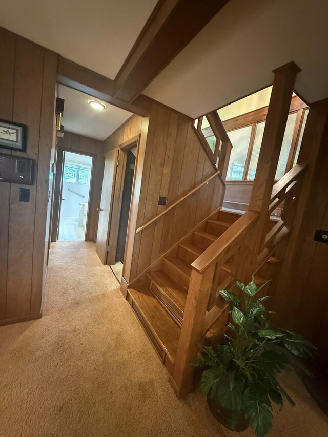 700 Lake Dr, Gallatin, TN 37066 - photo 38