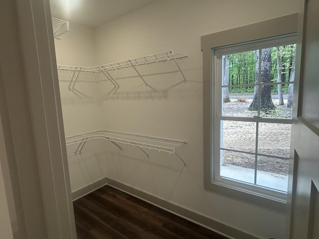 walk in closet featuring dark wood finished floors