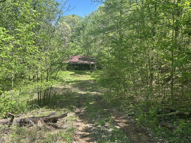 1062 Joslin Branch Rd, White Bluff, TN 37187 - photo 6