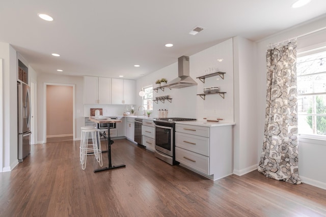 kitchen featuring range hood, open shelves, stainless steel appliances, and a healthy amount of sunlight