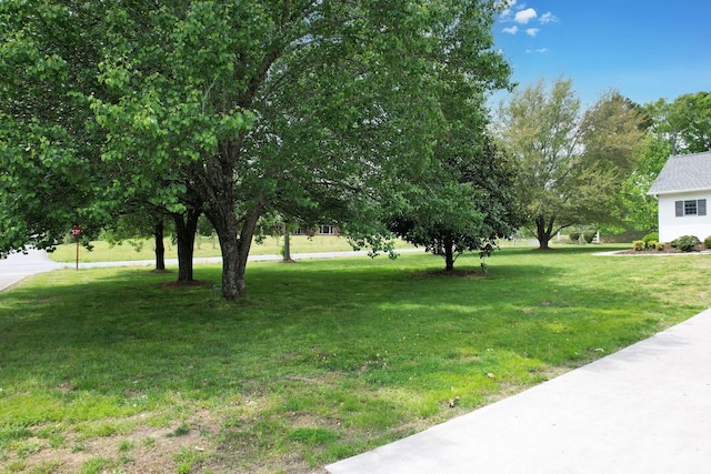 view of yard