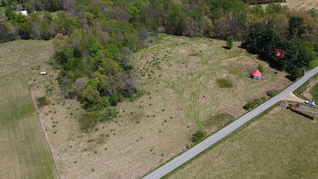 aerial view with a rural view