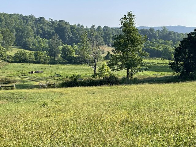 0 Monterey Hwy, Sparta, TN 38583 - photo 15