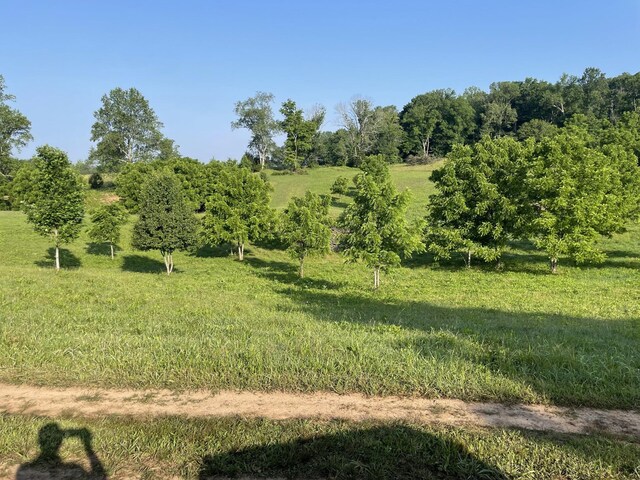 0 Monterey Hwy, Sparta, TN 38583 - photo 8