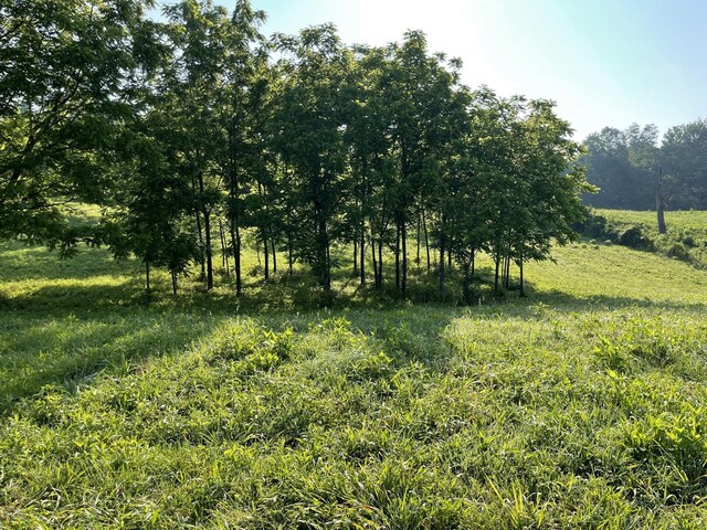 0 Monterey Hwy, Sparta, TN 38583 - photo 29