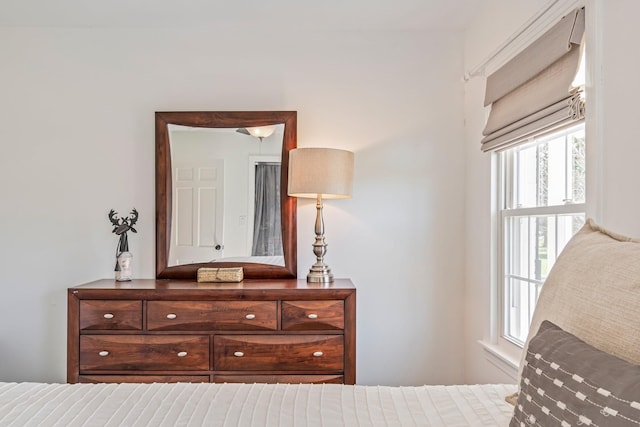 8803 Horton Hwy, College Grove, TN 37046 - view of bedroom