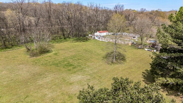 8803 Horton Hwy, College Grove, TN 37046 - bird's eye view with a view of trees and a rural view