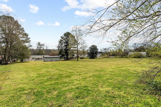 8803 Horton Hwy, College Grove, TN 37046 - view of yard