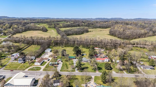 8803 Horton Hwy, College Grove, TN 37046 - drone / aerial view featuring a residential view