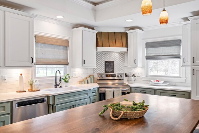 8803 Horton Hwy, College Grove, TN 37046 - kitchen with under cabinet range hood, a wealth of natural light, appliances with stainless steel finishes, and a sink
