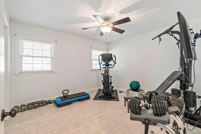 8803 Horton Hwy, College Grove, TN 37046 - exercise room featuring a ceiling fan and carpet