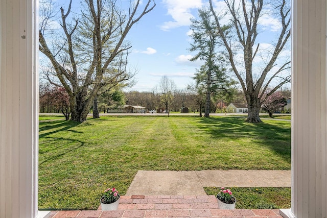 8803 Horton Hwy, College Grove, TN 37046 - view of yard
