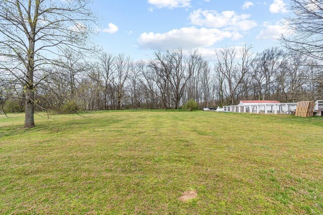 8803 Horton Hwy, College Grove, TN 37046 - view of yard