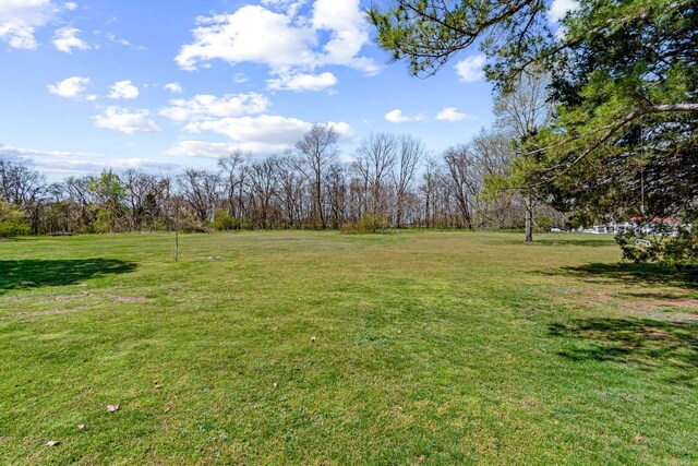 8803 Horton Hwy, College Grove, TN 37046 - view of yard
