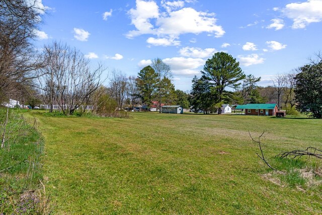 8803 Horton Hwy, College Grove, TN 37046 - view of yard with an outdoor structure and a storage unit