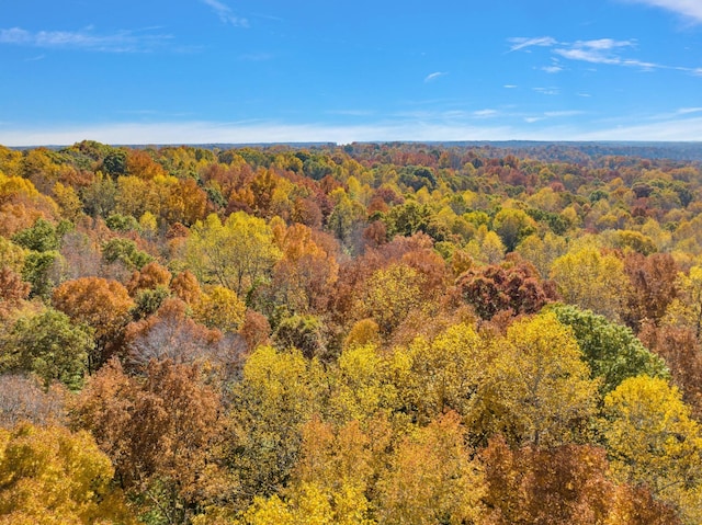 1 Batson Mill Rd, Charlotte, TN 37036 - photo 22
