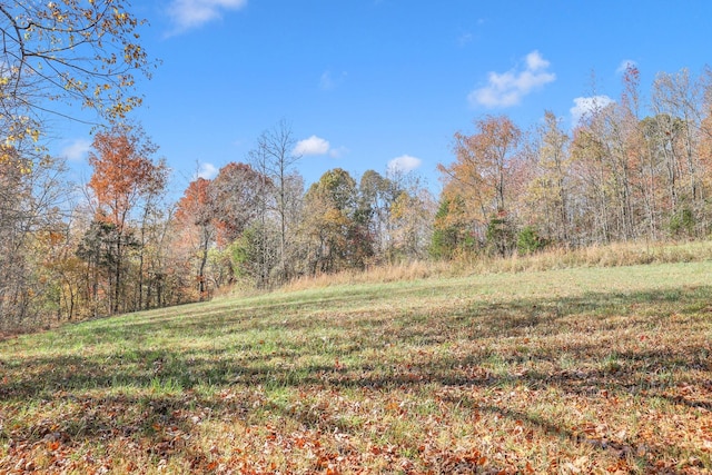 1 Batson Mill Rd, Charlotte, TN 37036 - photo 13