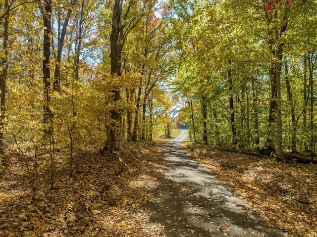 1 Batson Mill Rd, Charlotte, TN 37036 - photo 21