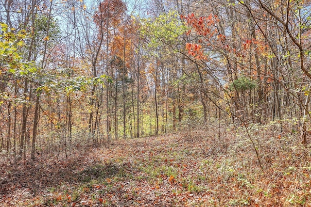 1 Batson Mill Rd, Charlotte, TN 37036 - photo 11