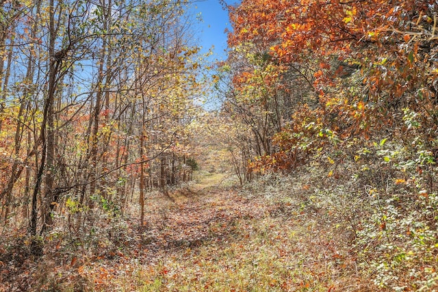 1 Batson Mill Rd, Charlotte, TN 37036 - photo 19