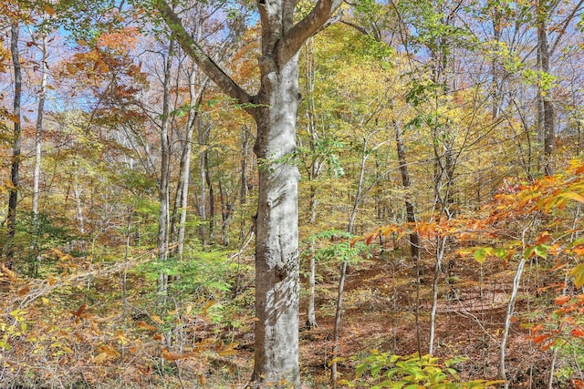 1 Batson Mill Rd, Charlotte, TN 37036 - photo 14