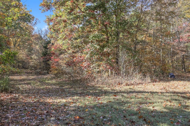 1 Batson Mill Rd, Charlotte, TN 37036 - photo 25