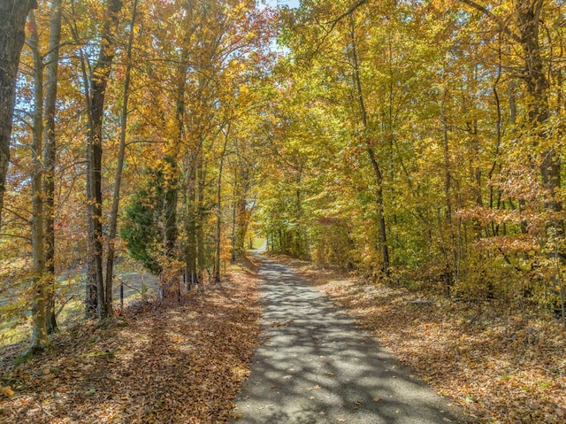 1 Batson Mill Rd, Charlotte, TN 37036 - photo 20