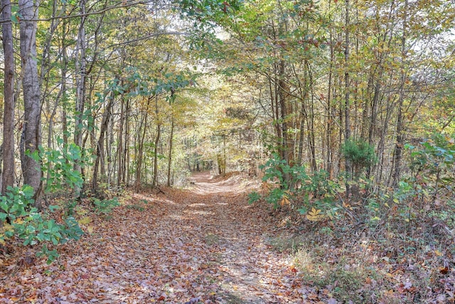 1 Batson Mill Rd, Charlotte, TN 37036 - photo 27