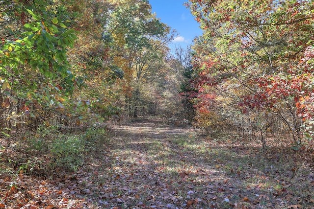 1 Batson Mill Rd, Charlotte, TN 37036 - photo 26