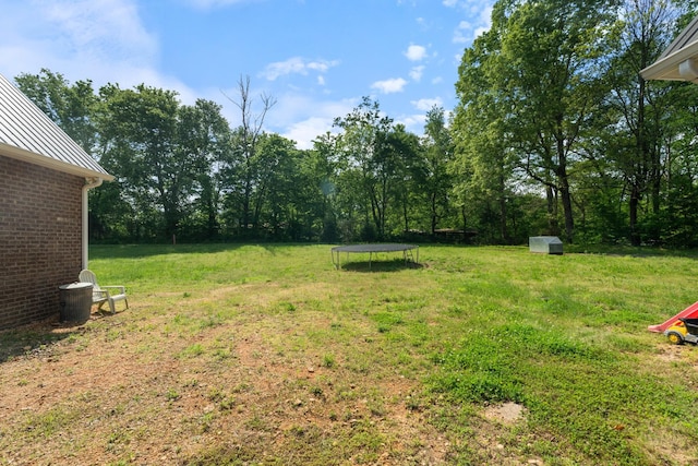 703 Gaither Hinson Rd, Waynesboro, TN 38485 - view of yard featuring an outdoor structure, a trampoline, and a storage unit
