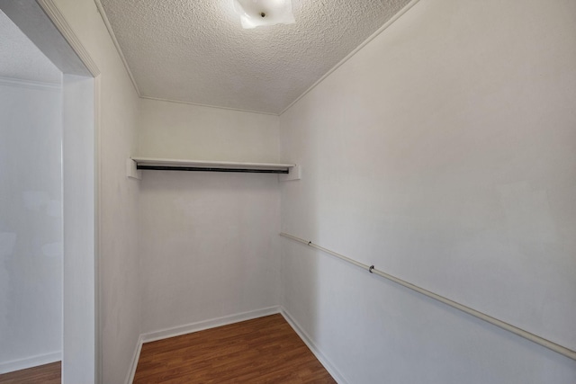 spacious closet featuring wood finished floors