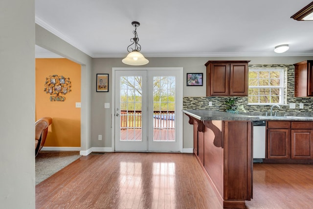 kitchen featuring plenty of natural light, dishwasher, wood finished floors, and backsplash