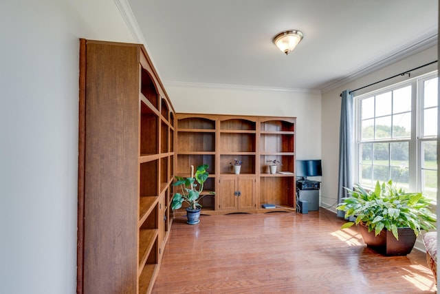 view of storage room