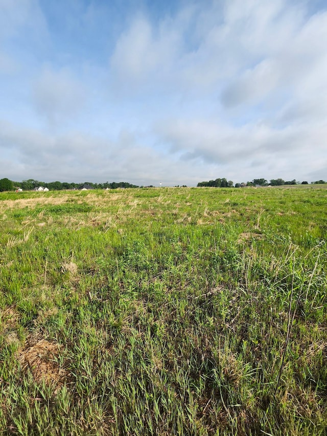 55 Wofford Ests, Clarksville, TN 37040 - view of nature featuring a rural view