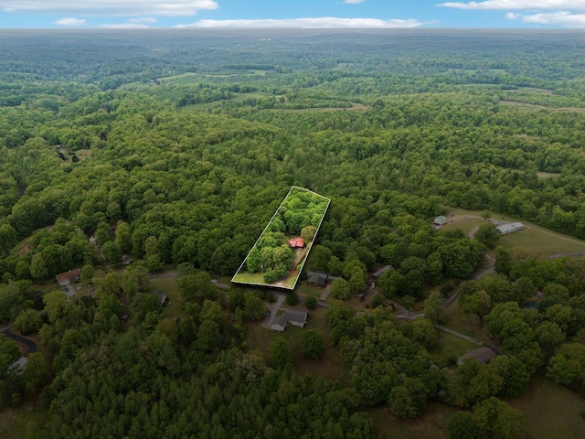 bird's eye view featuring a view of trees
