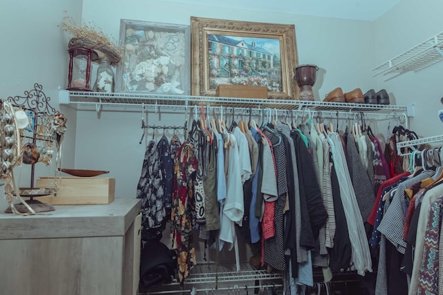view of walk in closet