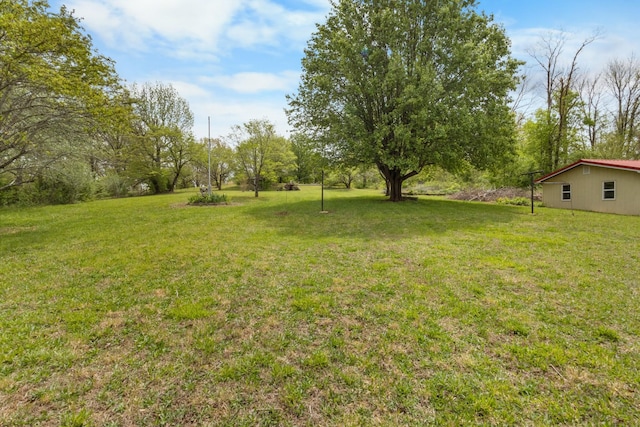 view of yard