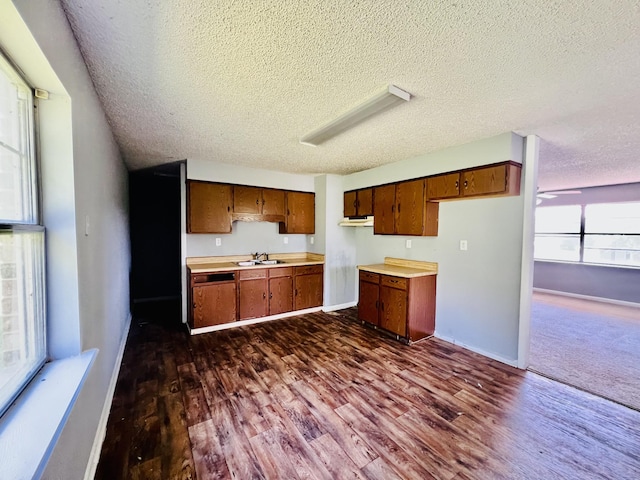 kitchen with dark wood-type flooring, baseboards, and a sink