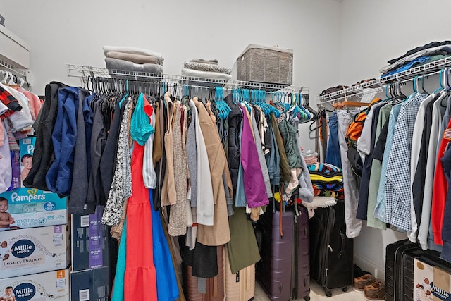 131 Benjamin Ln, Hendersonville, TN 37075 - view of walk in closet