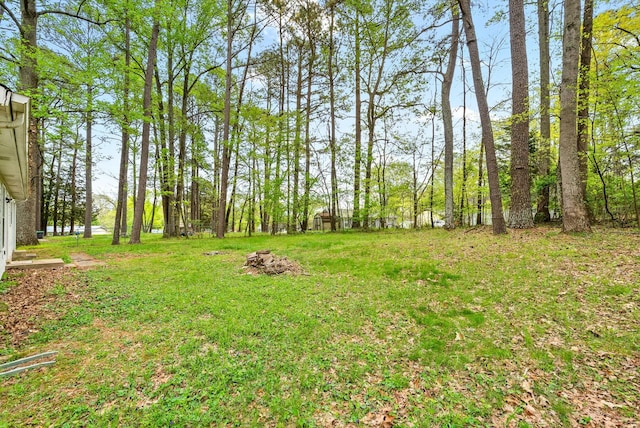 2041 Dotsonville Rd, Clarksville, TN 37042 - view of yard