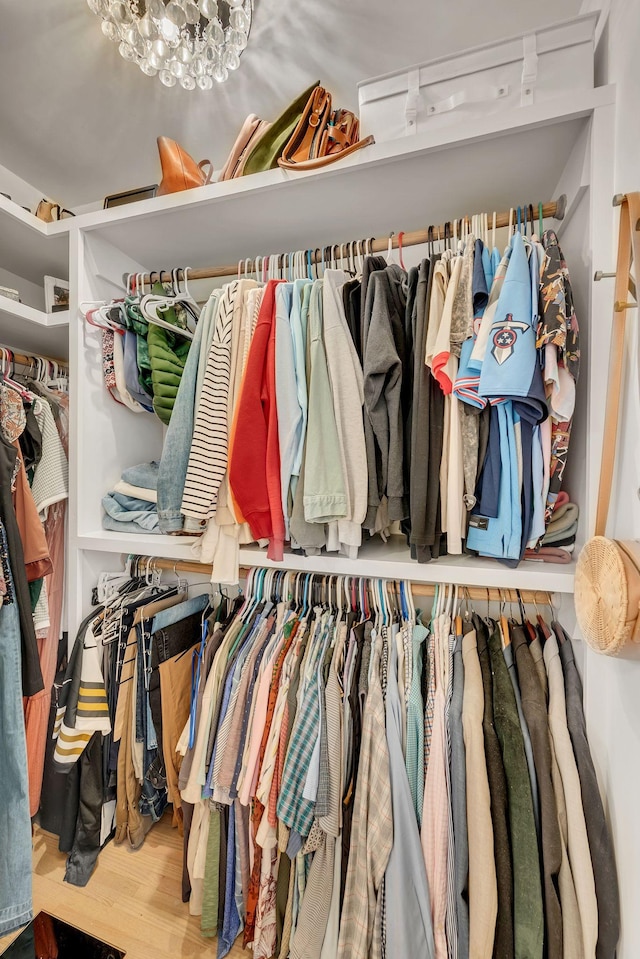 walk in closet featuring wood finished floors