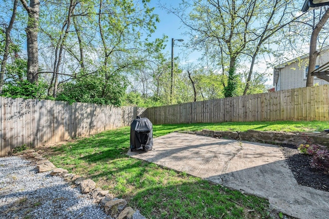view of yard featuring a fenced backyard and a patio