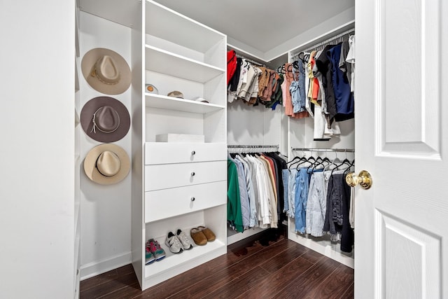 spacious closet featuring dark wood finished floors