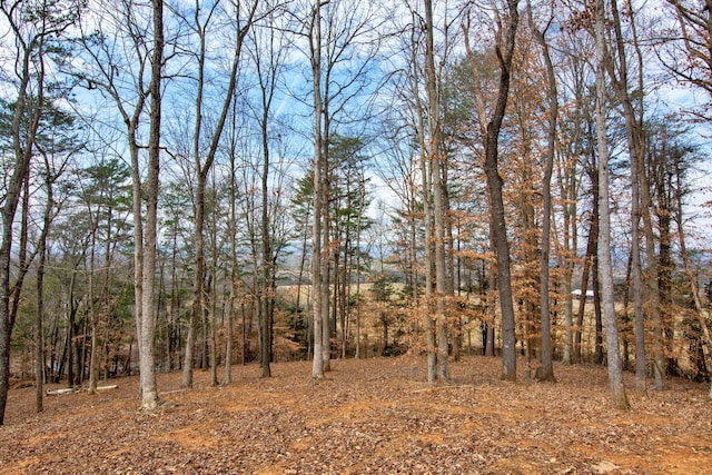 view of local wilderness