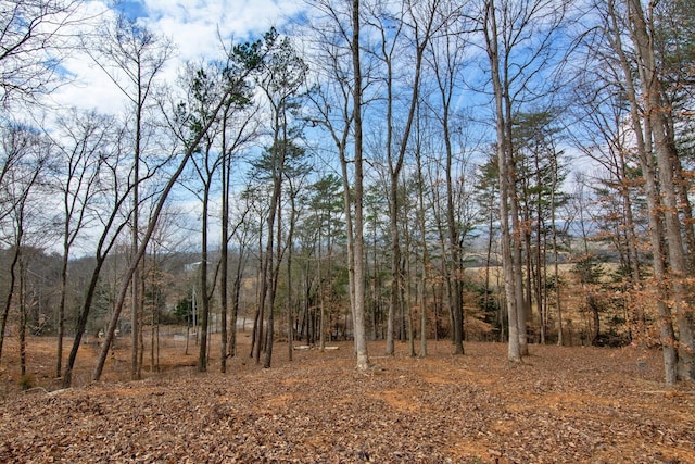 view of landscape