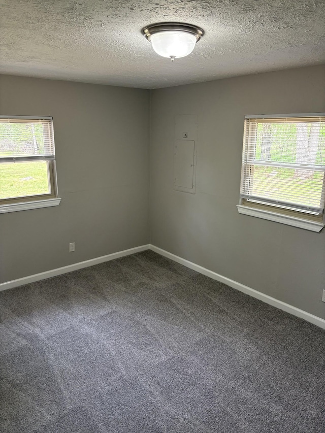1669 Fellowship Rd, Mount Juliet, TN 37122 - carpeted empty room with baseboards, a textured ceiling, and electric panel